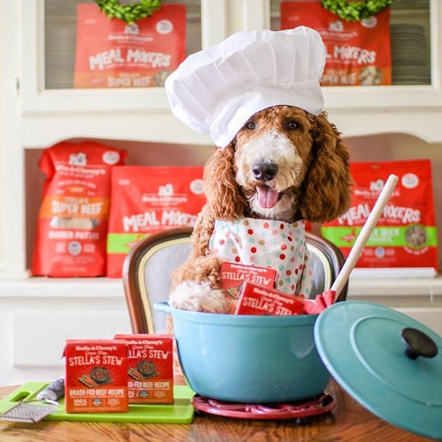 Grass-Fed Beef Stew