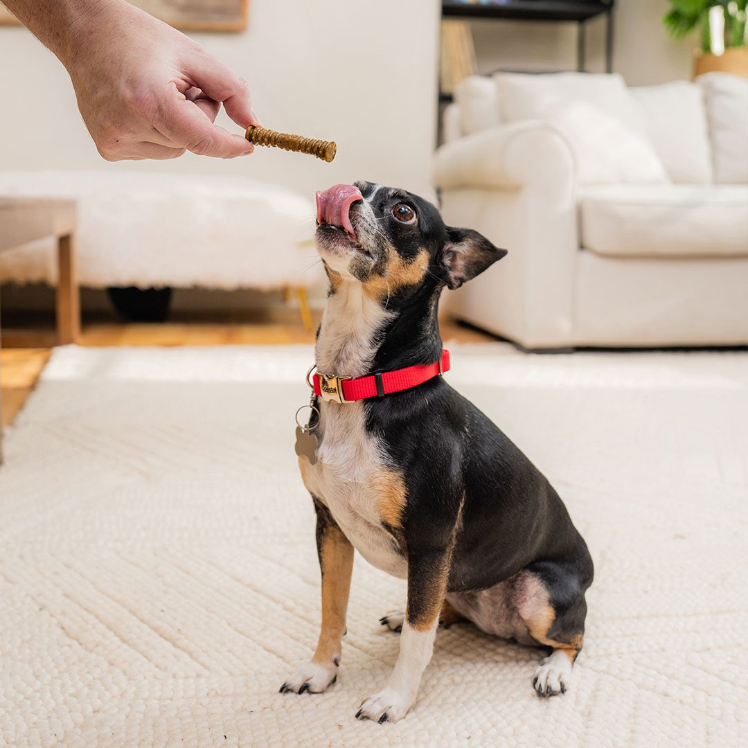 Dental Delights Extra-Small Dog Dental Treats
