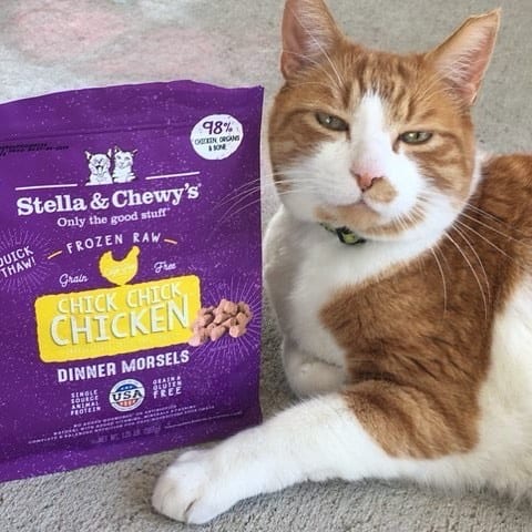 Chick, Chick Chicken Frozen Dinner Morsels